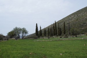 Inde buurt van Niata