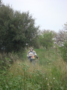 Jeroen aan het maaien