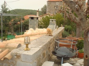 Tuin eind maart 2013