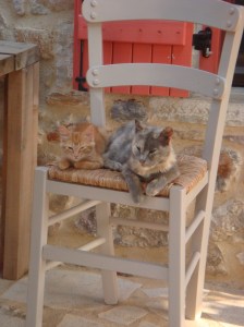 Telly en zijn moeder