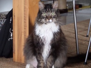 onze dikke vriend Miles