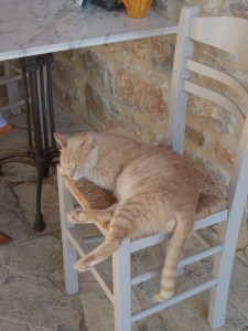 Ome Zalm in de relastand