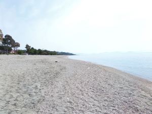 SAMSUNG CAMERA PICTURES