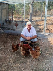 Jeroen en de kippen