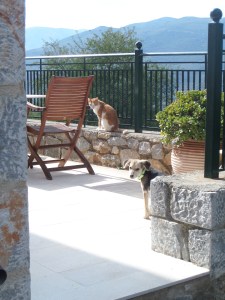 Souri op haar eerste dag met NoName