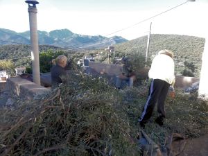 John, Petie en Diana (achter de bos takken)