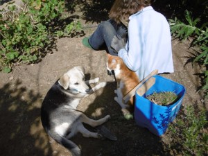 Souri, Noname en Diana