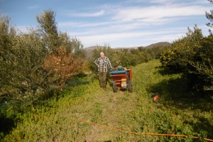 Jeroen in "actieve" plukstand