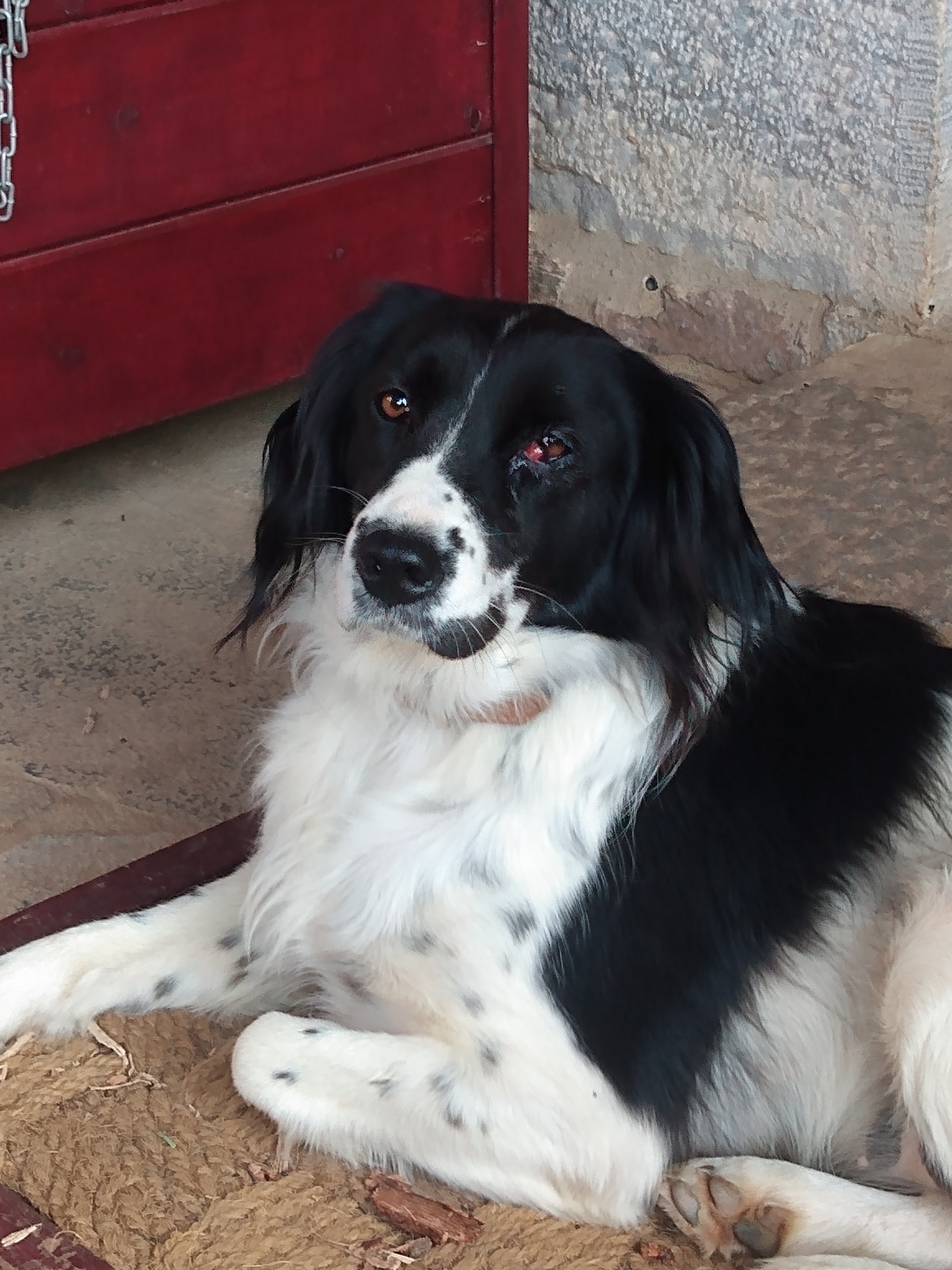 IMG_20201022_180426059