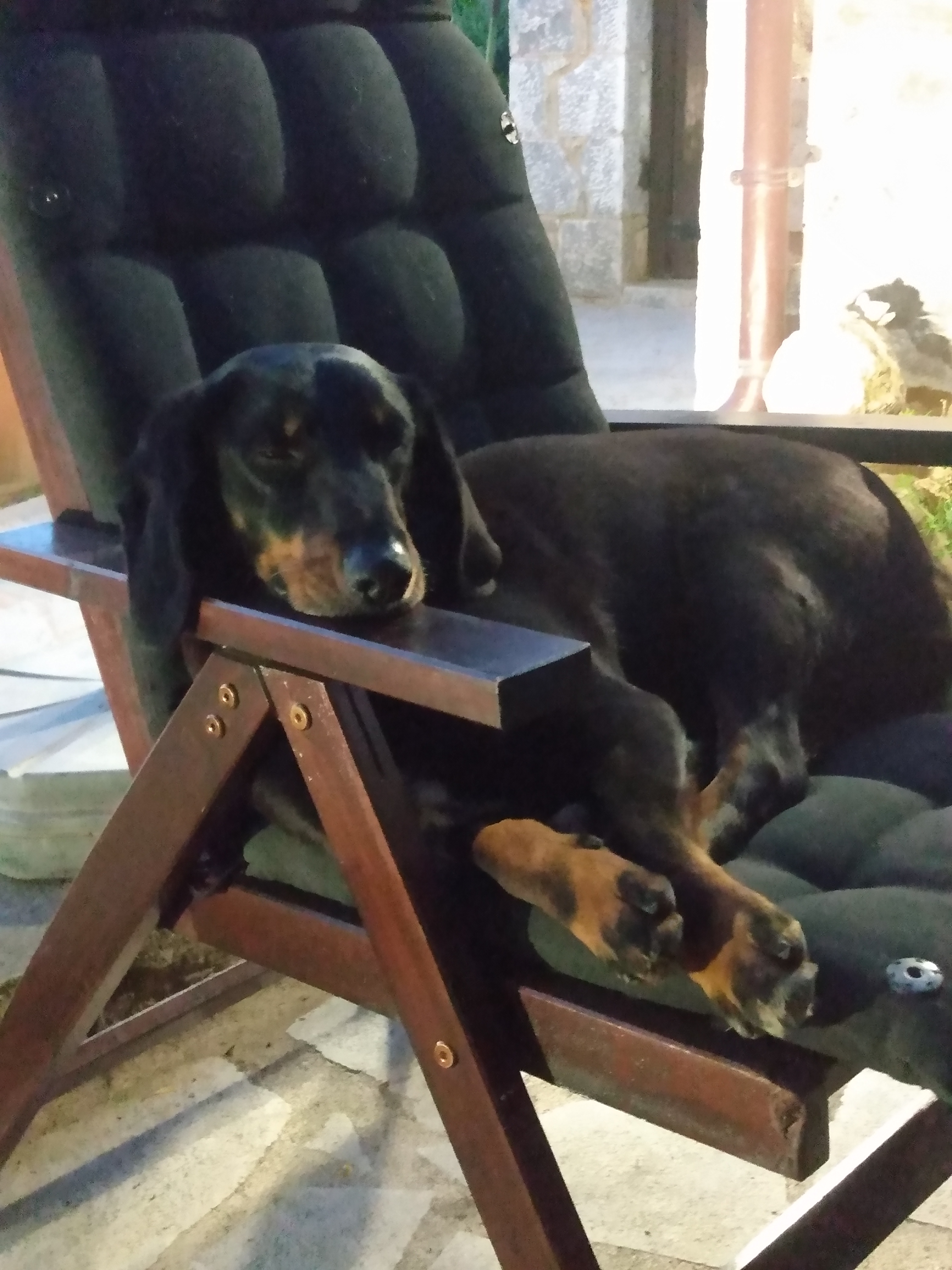 IMG_20210430_203855034