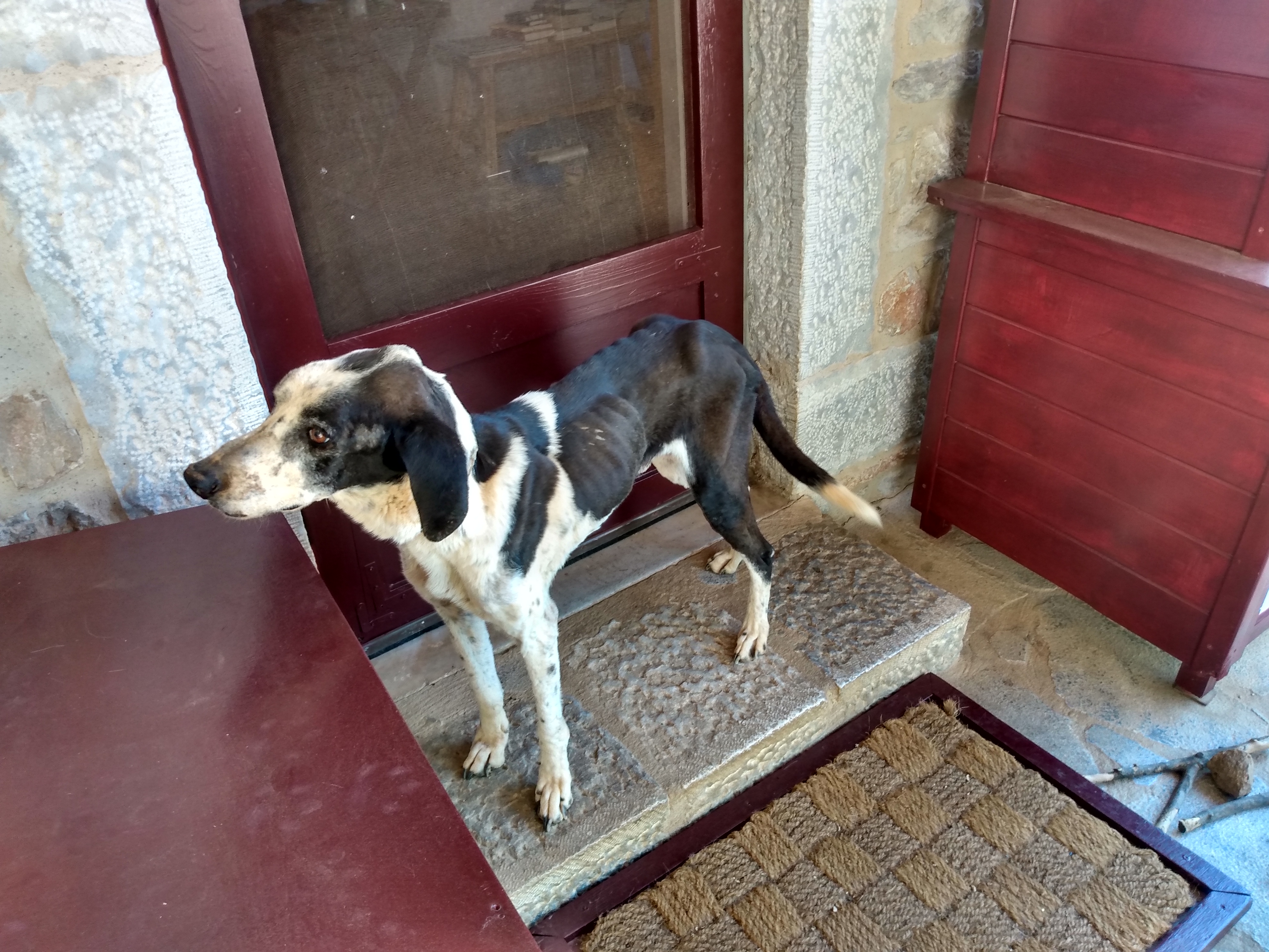 IMG_20210519_153603124_HDR