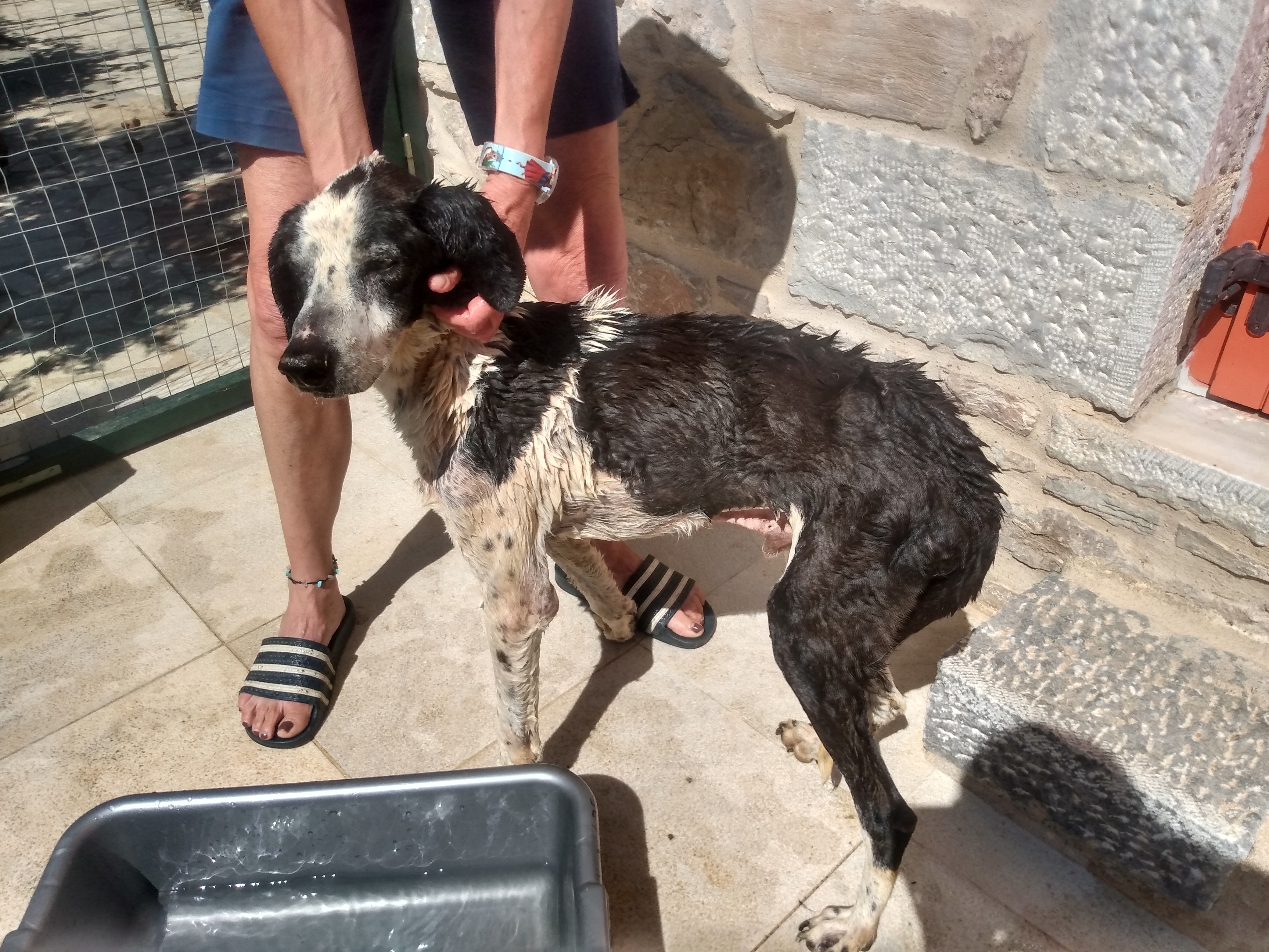 IMG_20210522_160758624_HDR