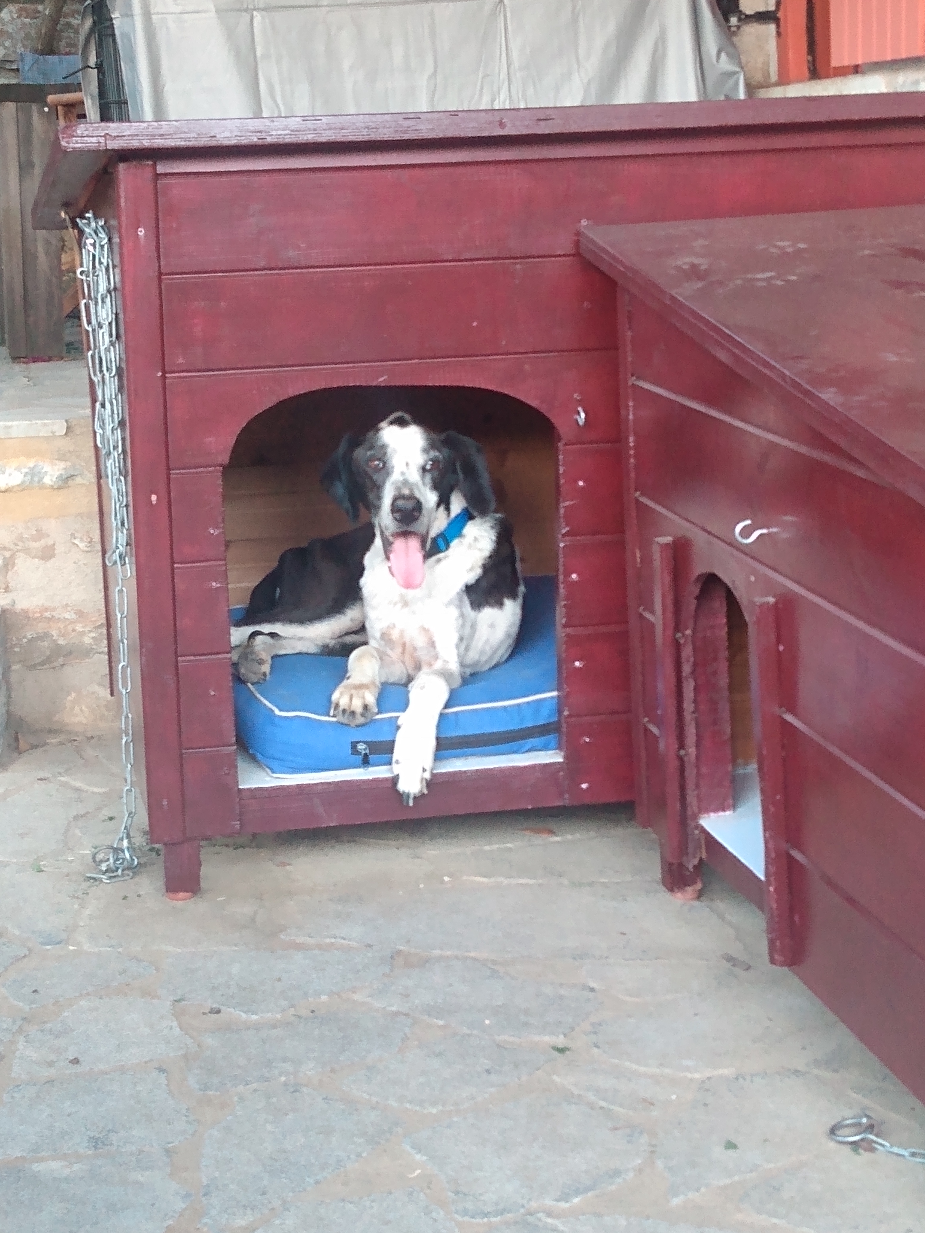 IMG_20210524_203420169