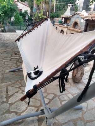 IMG_20210621_202541620_HDR