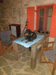 IMG_20210702_215824072