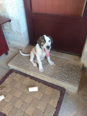 IMG_20210715_120923887