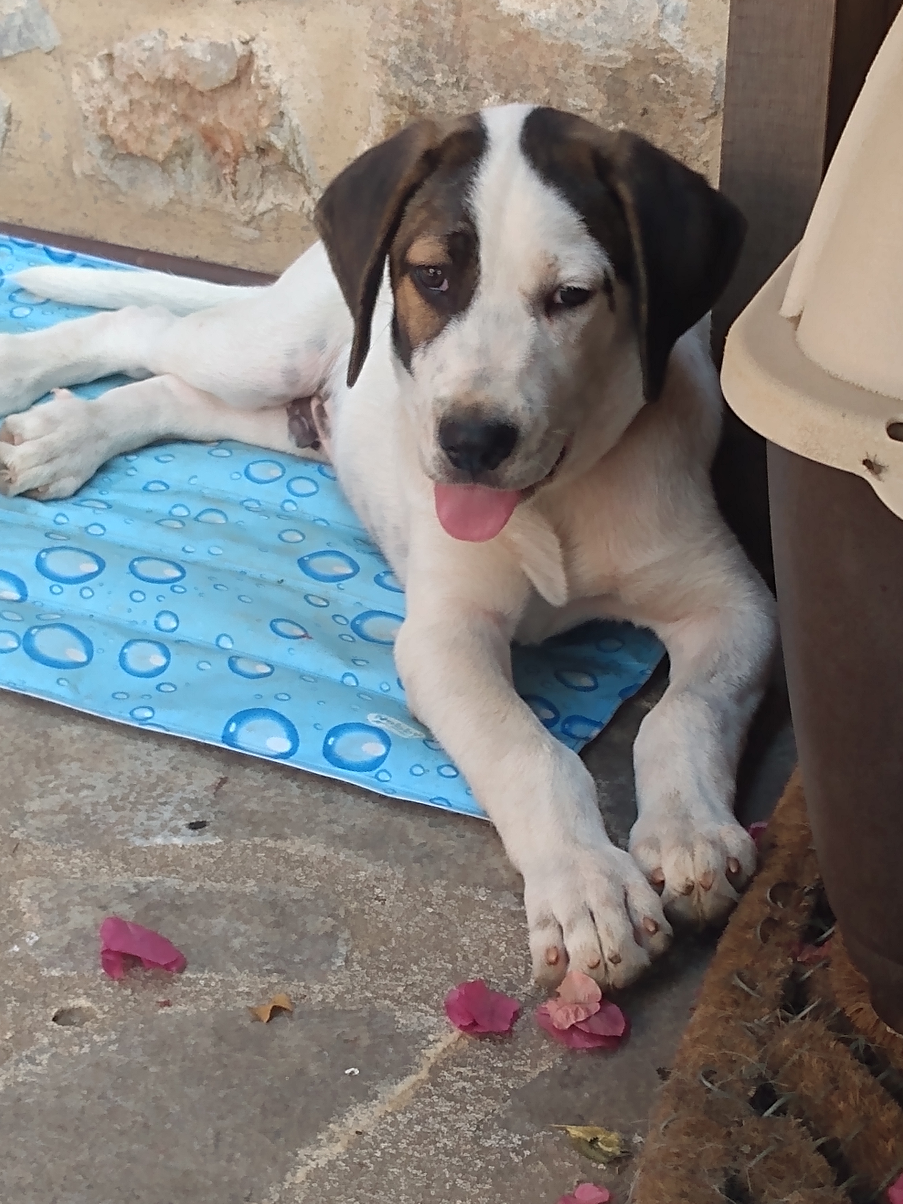 IMG_20210715_173458475