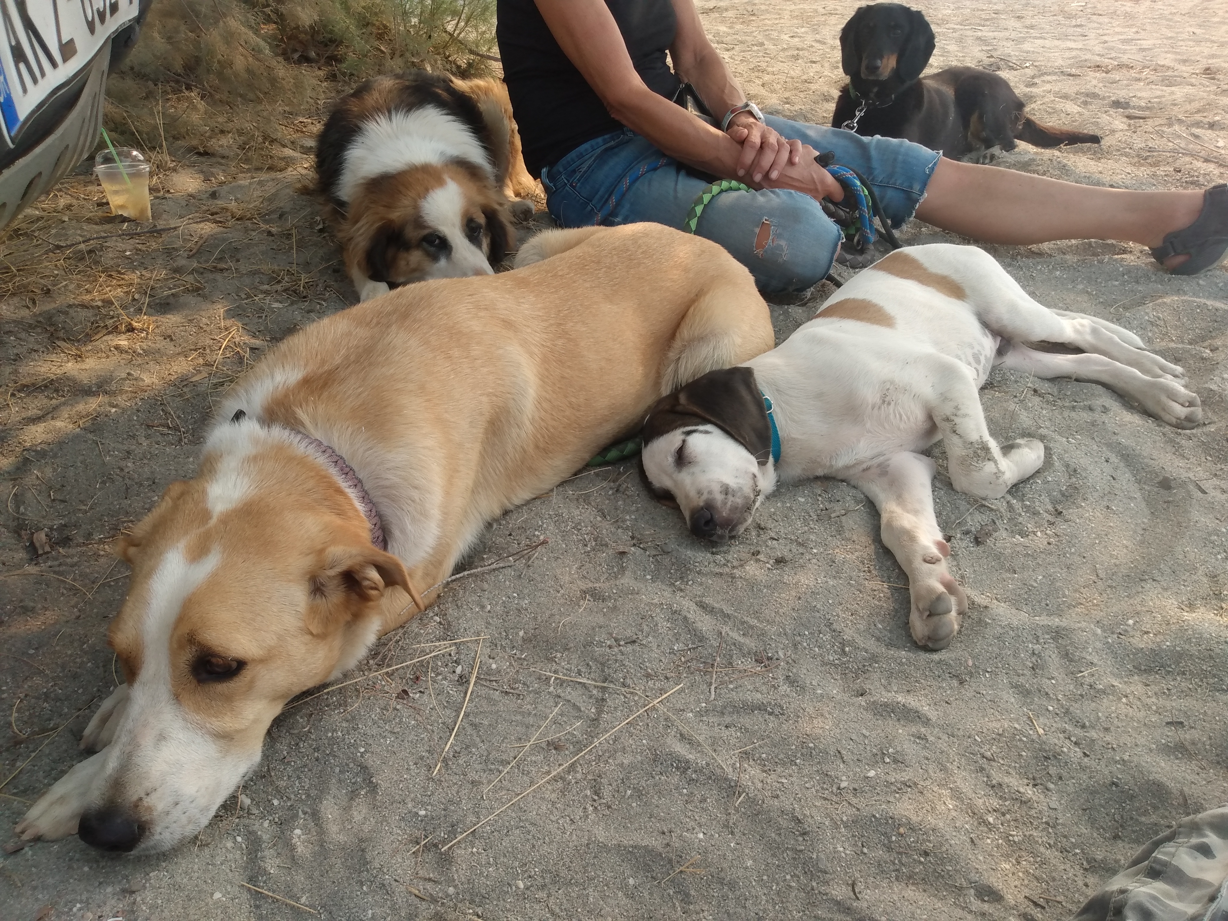 IMG_20210806_100145718