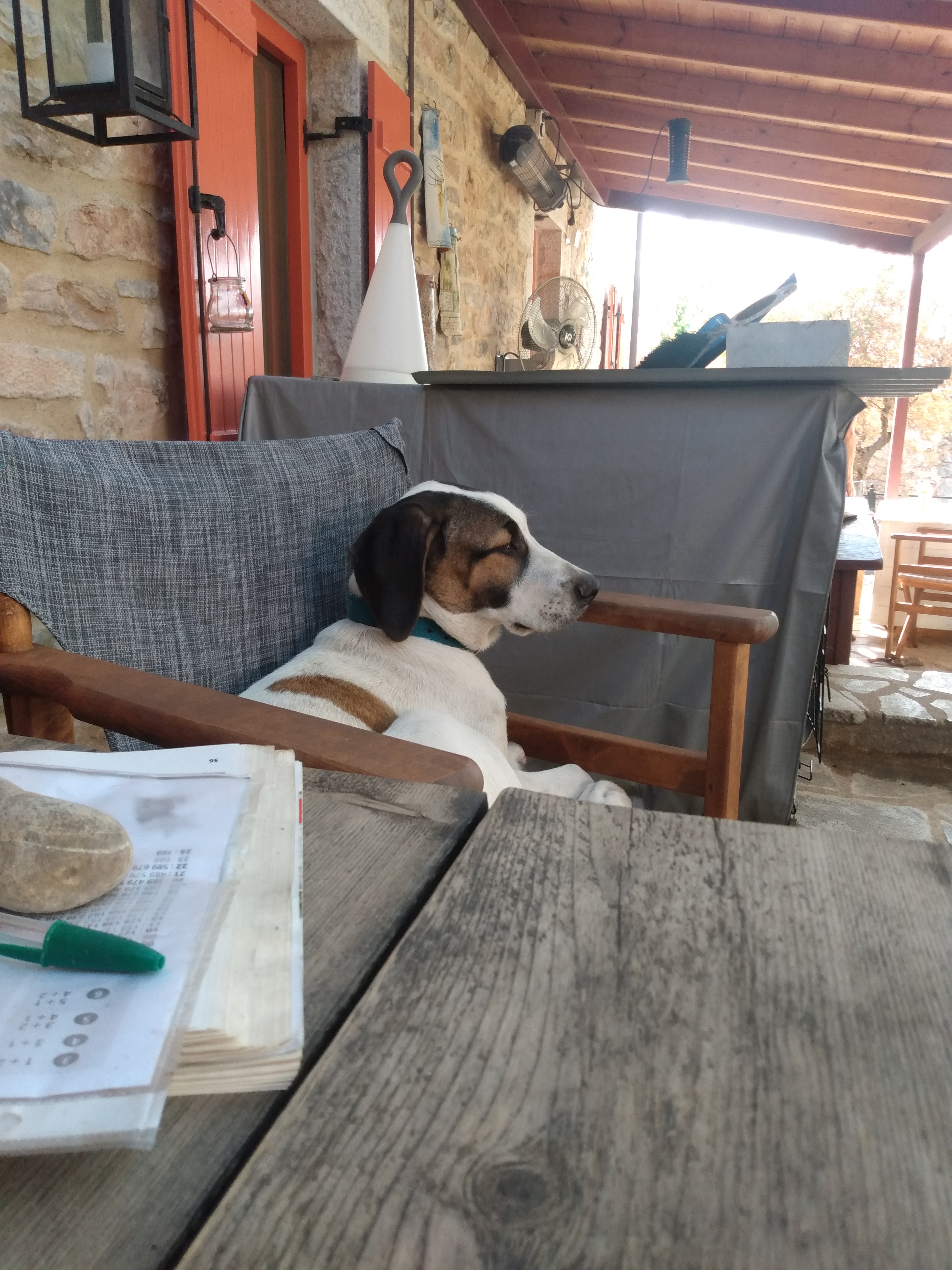 IMG_20210909_180405309