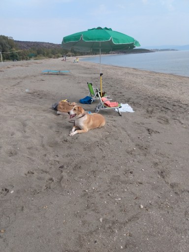 IMG_20211024_113102566