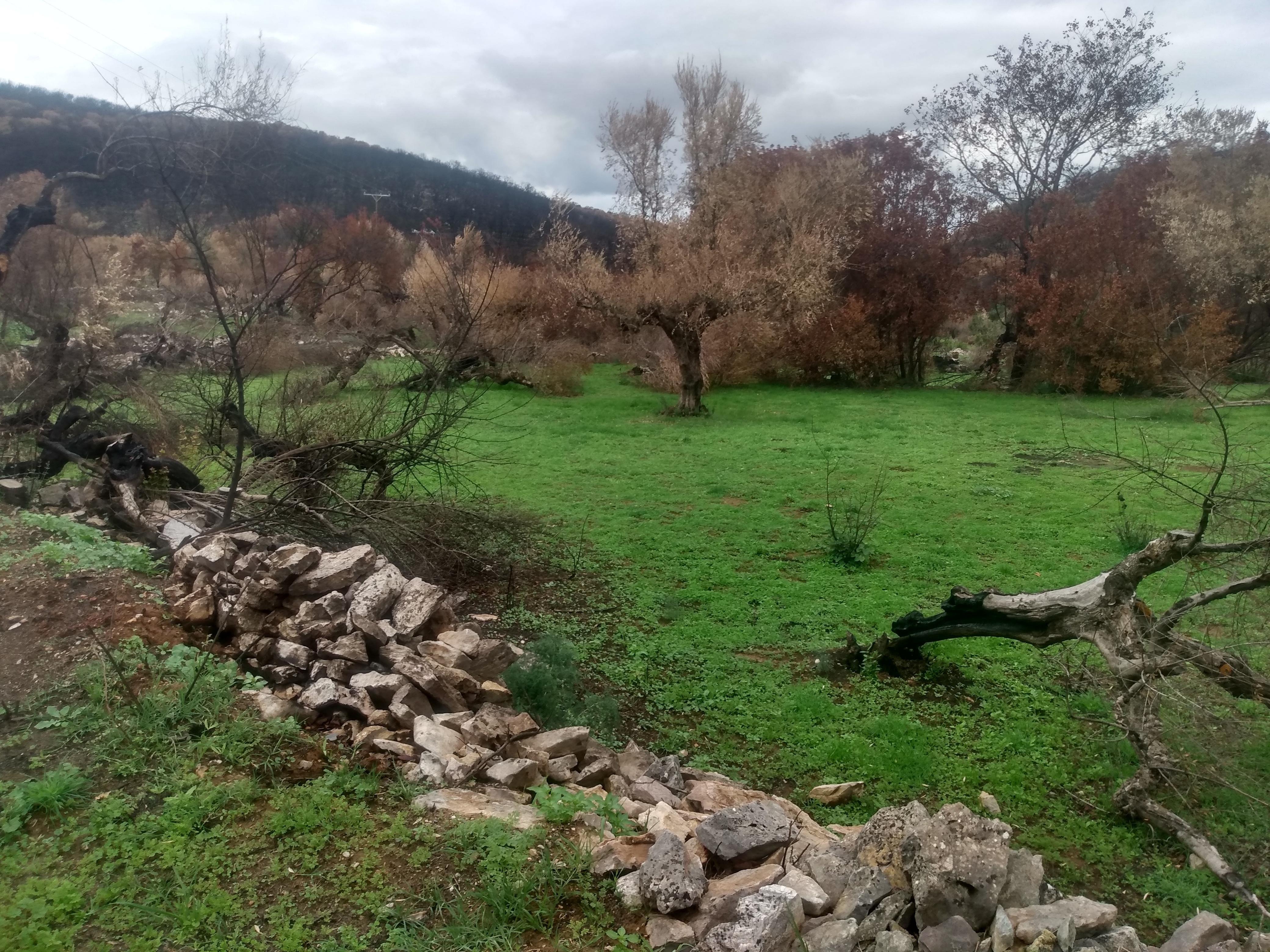 IMG_20211025_121540571_HDR