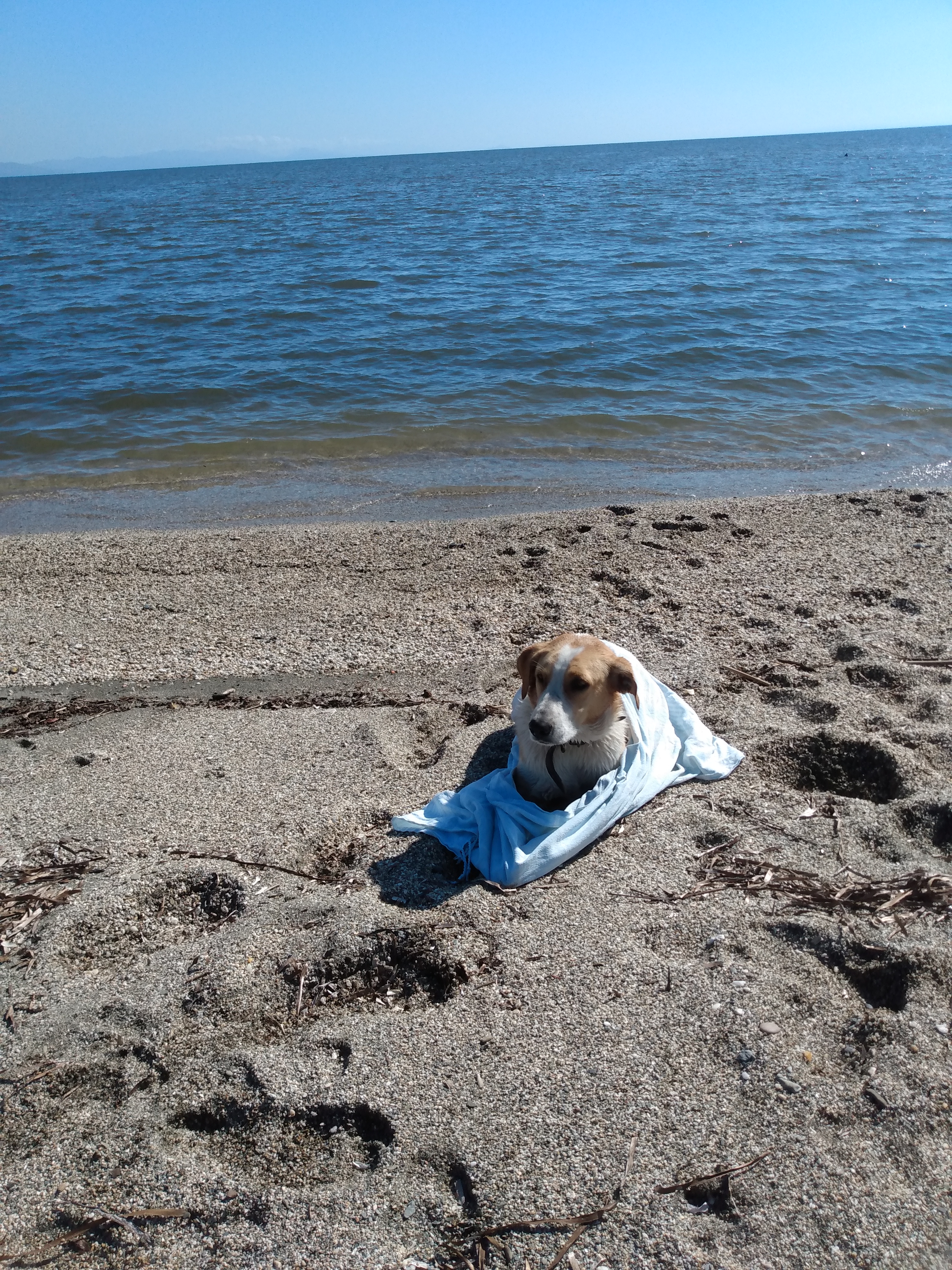 IMG_20211103_114225891