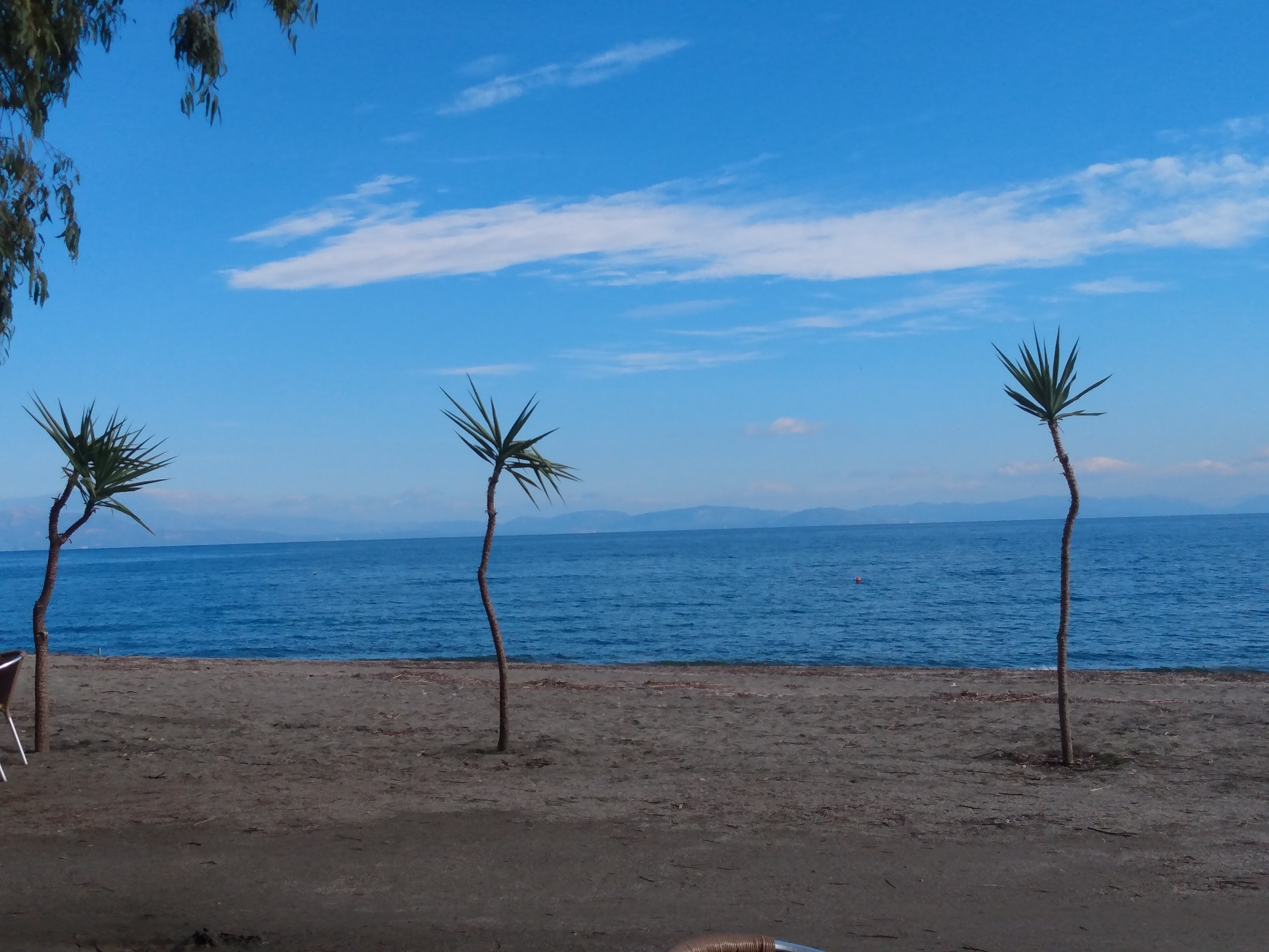 IMG_20211120_131655684