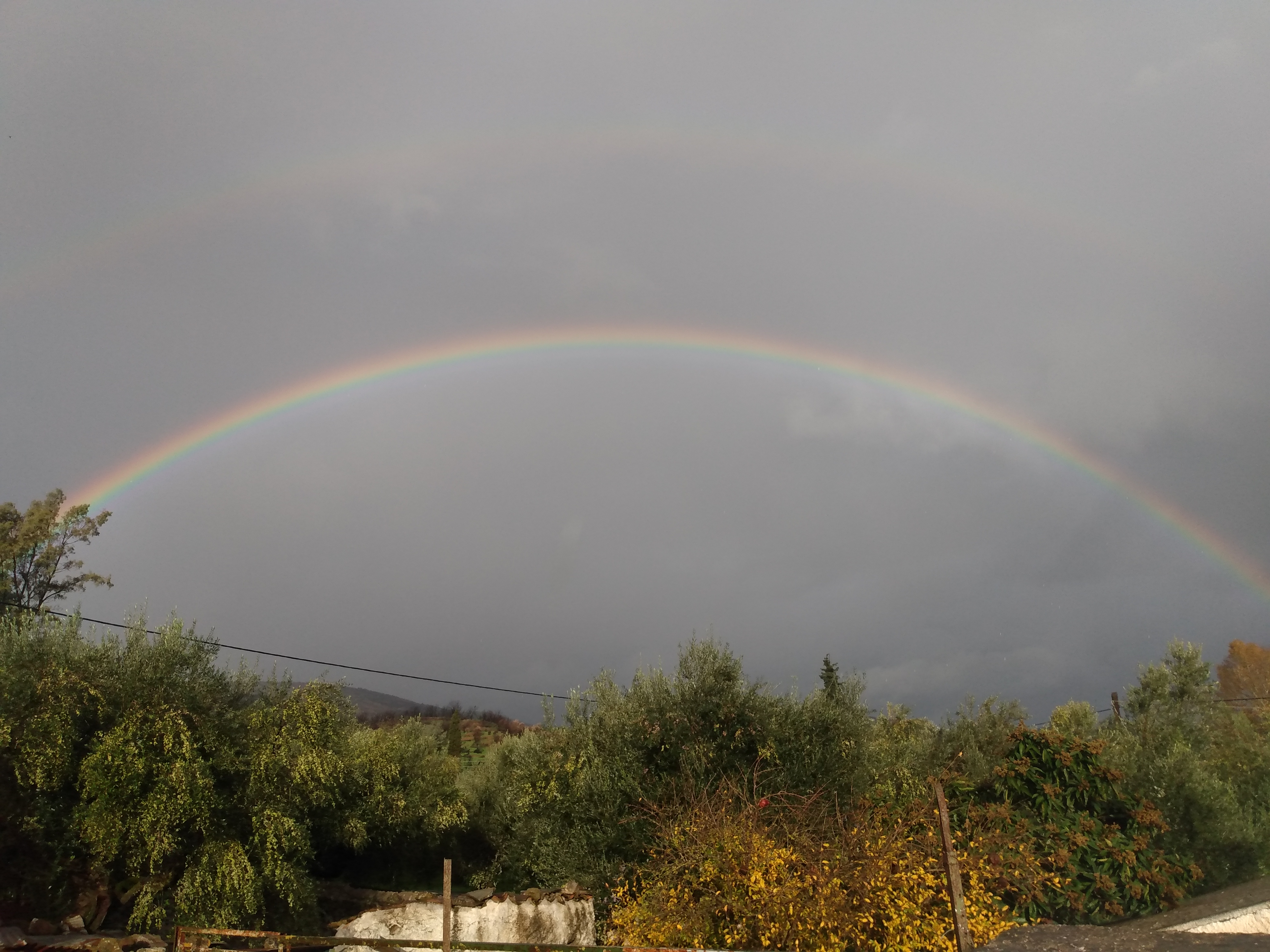 IMG_20211204_090225860