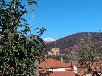 IMG_20211205_111211139