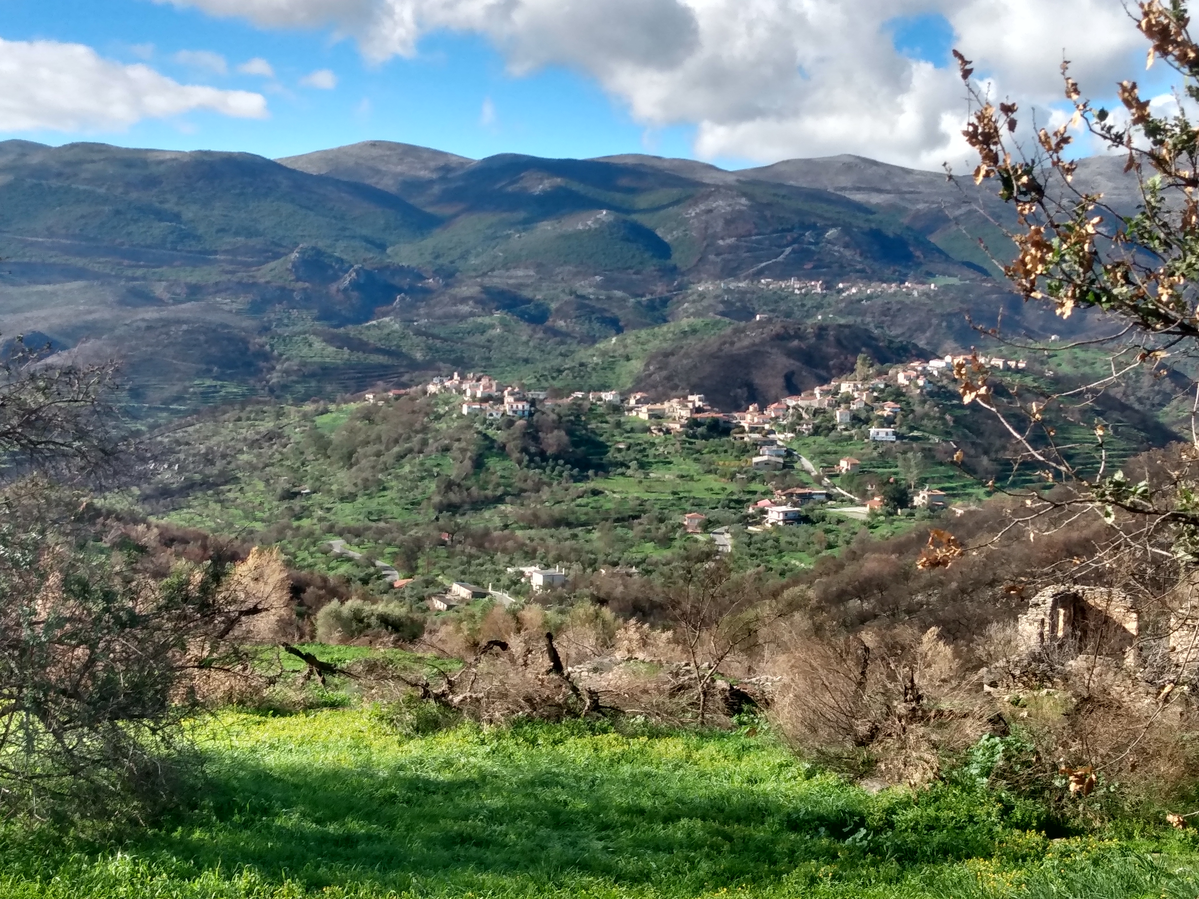 IMG_20211205_111220138_HDR