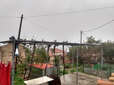 IMG_20211228_162729869_HDR