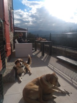 IMG_20220119_150402308