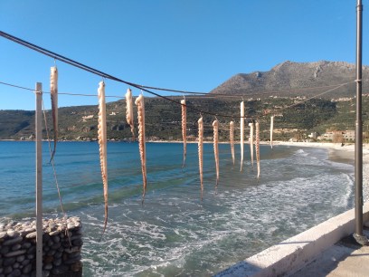 IMG_20220123_153103055