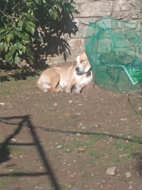 IMG_20220119_140105179