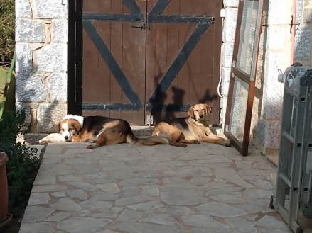 IMG_20220206_151747200