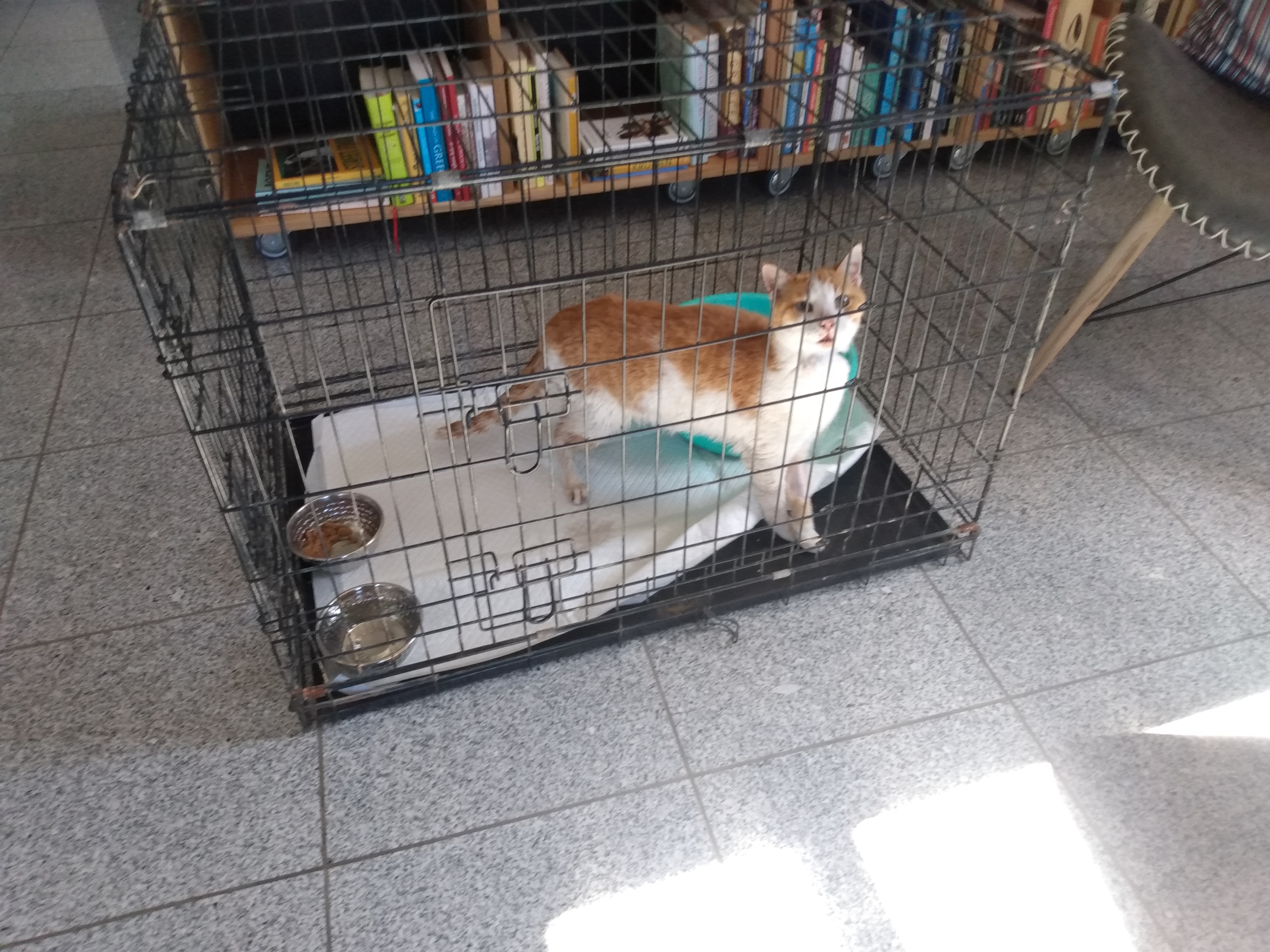 IMG_20220209_130157865