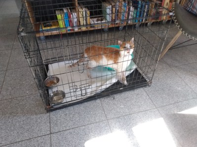 IMG_20220209_130157865