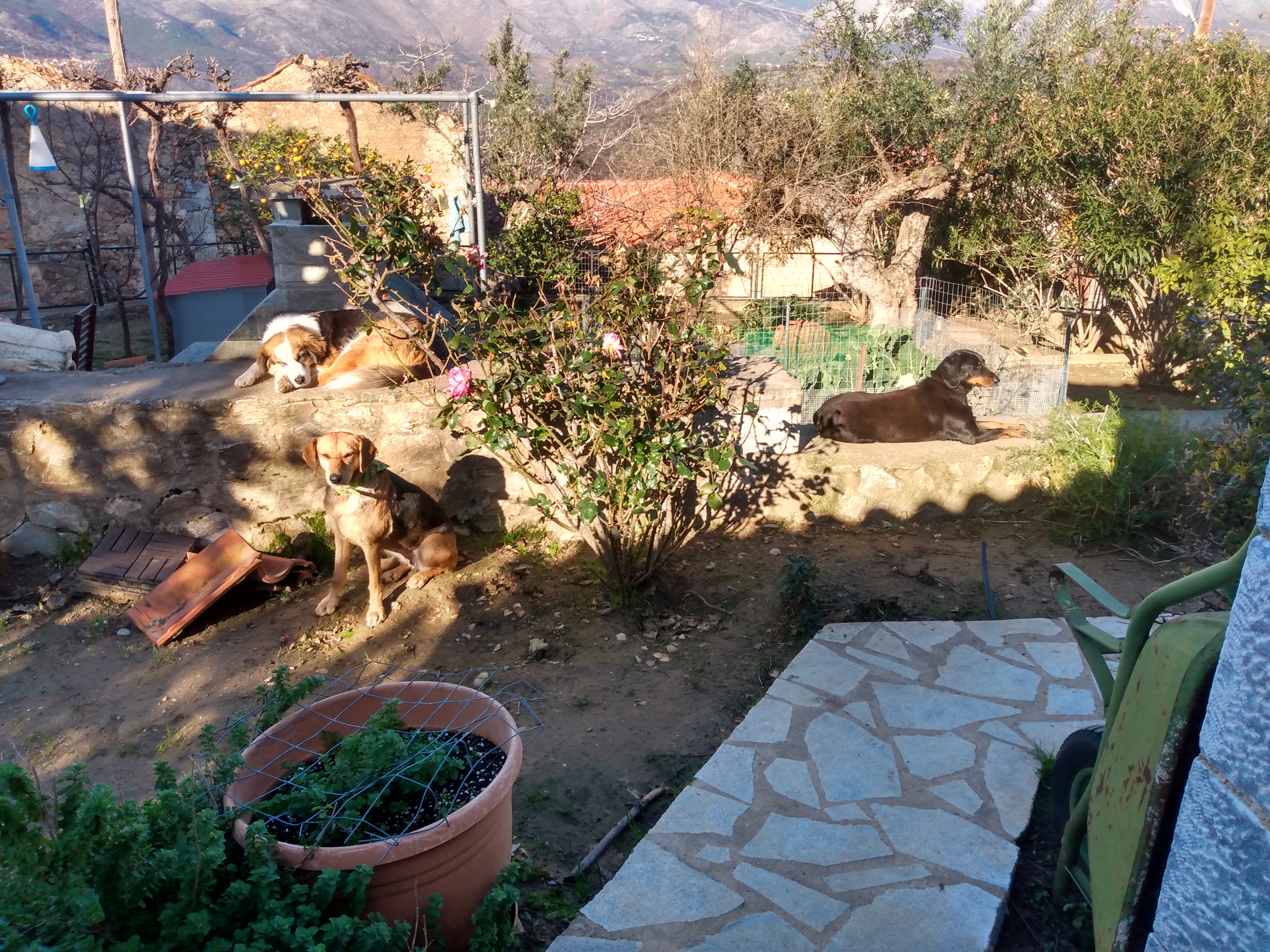 IMG_20220210_094423214_HDR