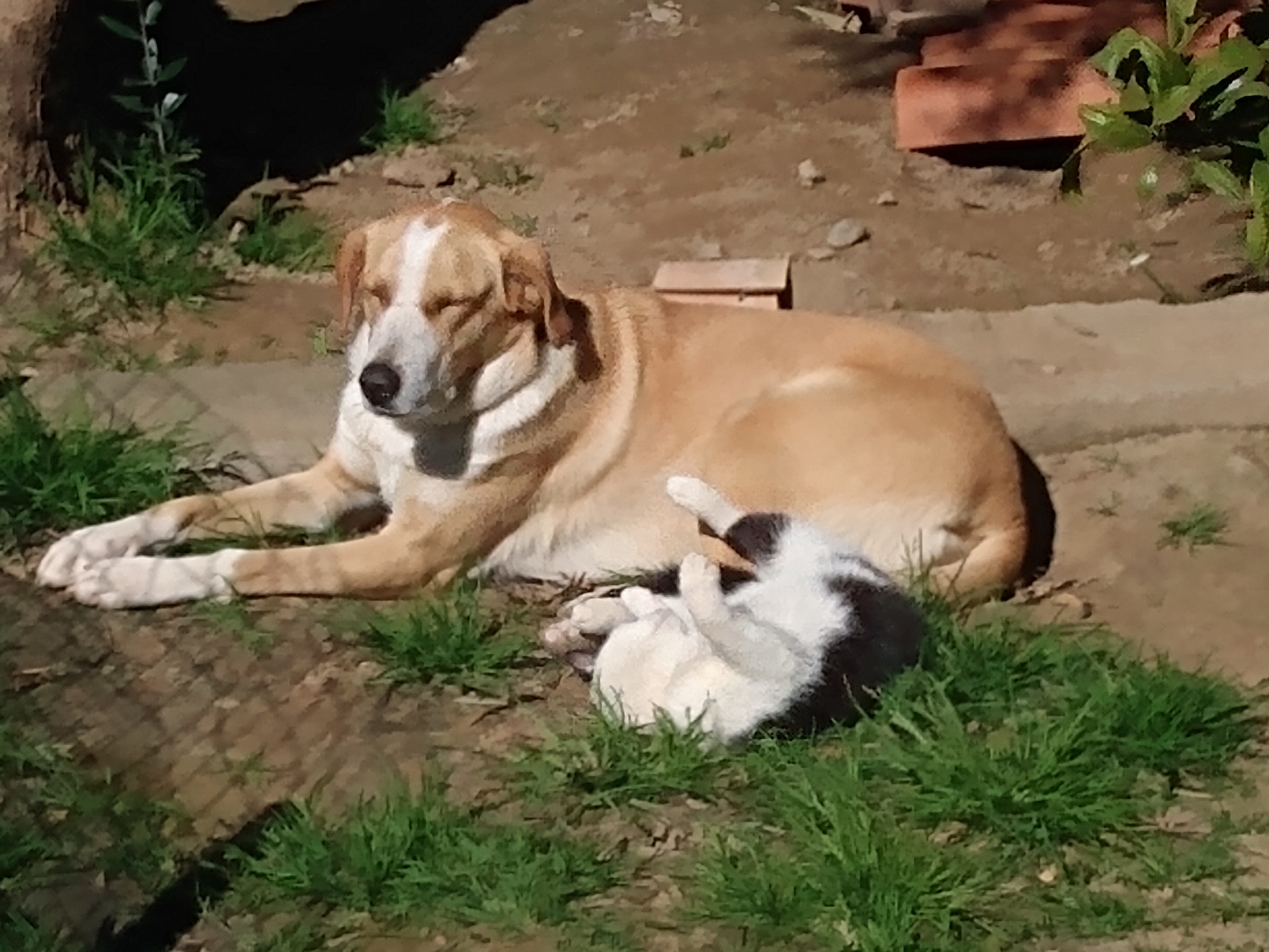 IMG_20220324_102804559