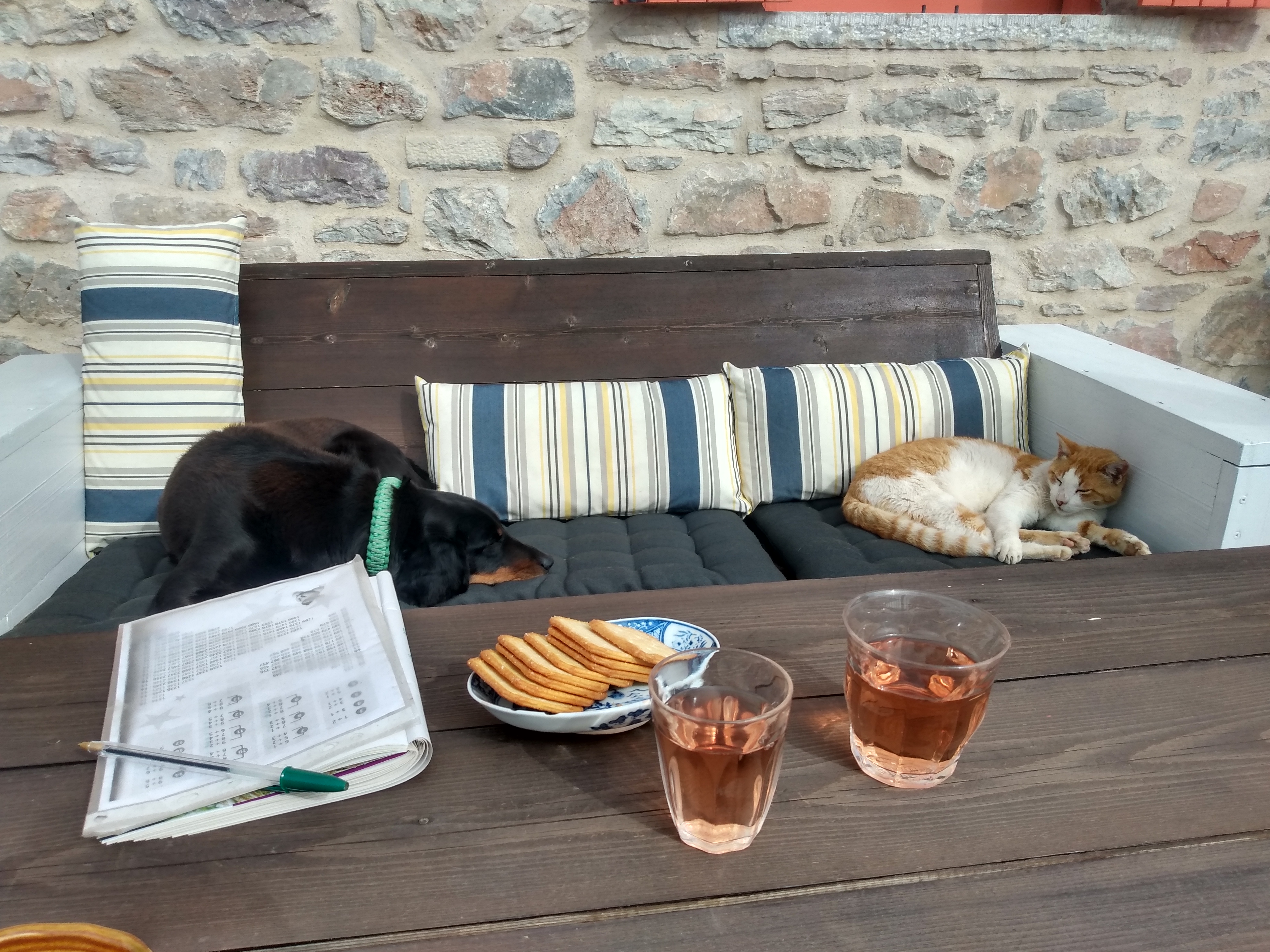 IMG_20220328_163645290_HDR