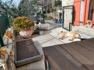 IMG_20220328_170532274_HDR