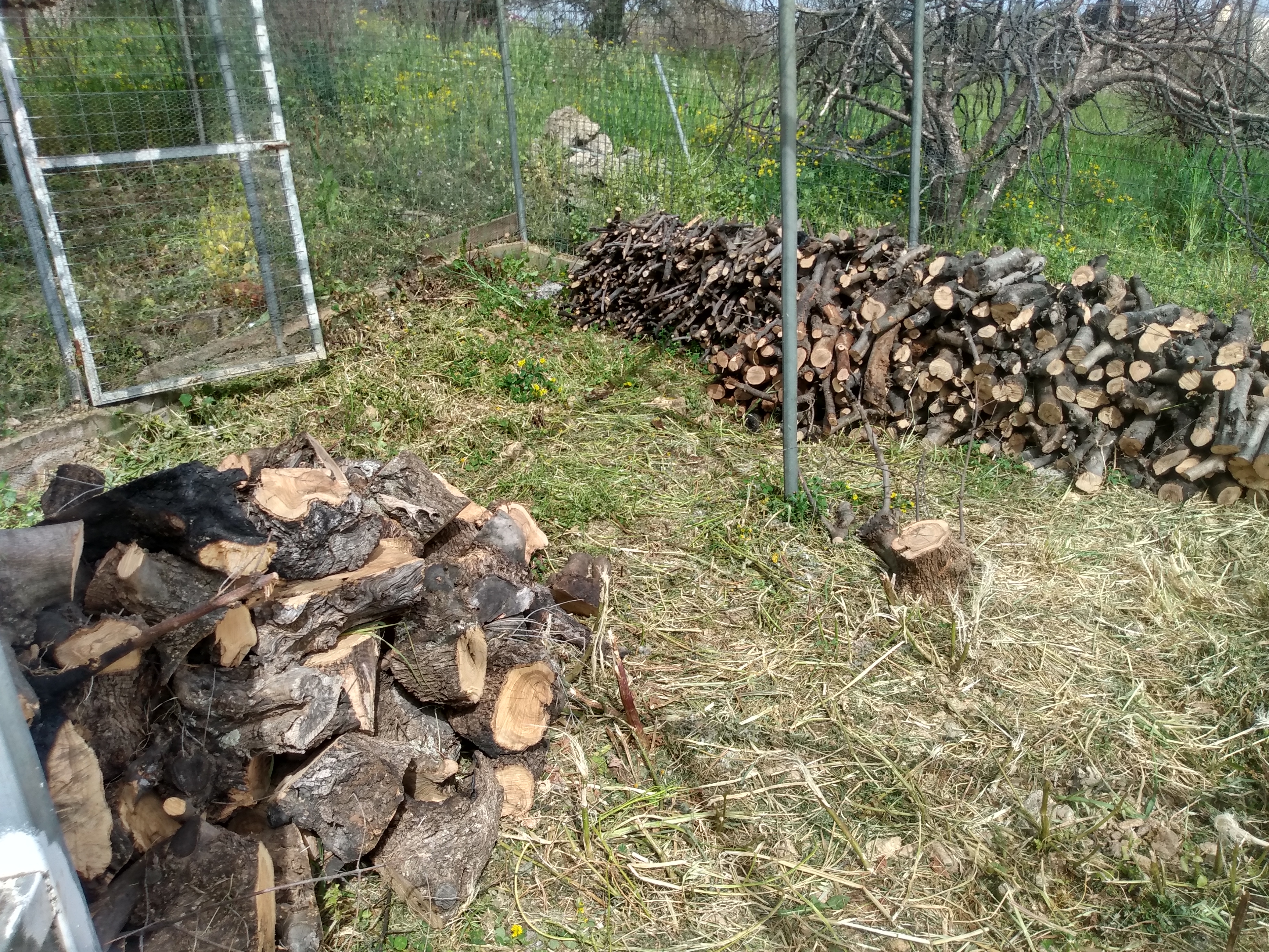 IMG_20220404_153816096_HDR