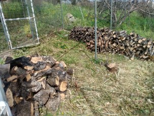 IMG_20220404_153816096_HDR