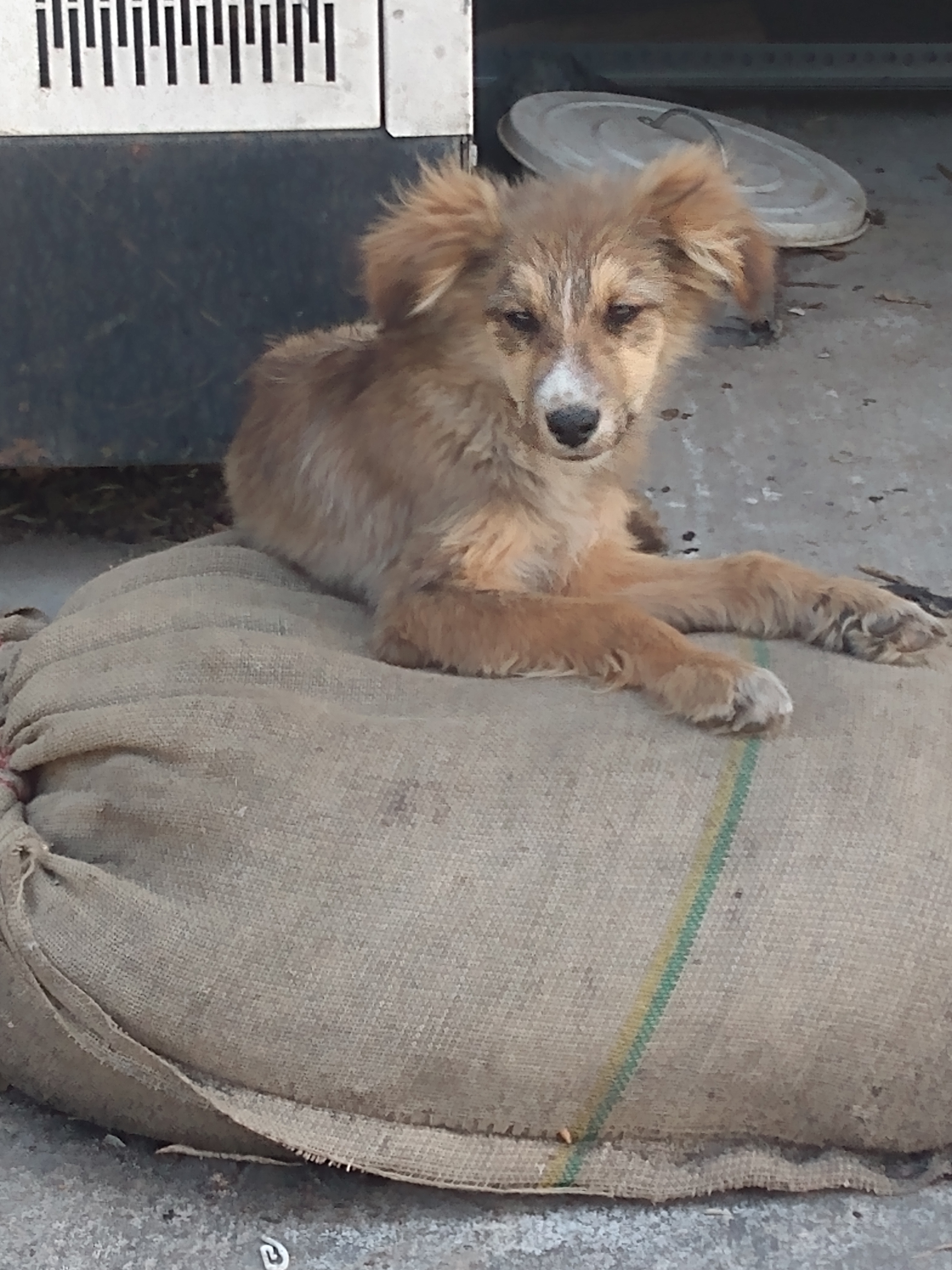 IMG_20220503_150559547