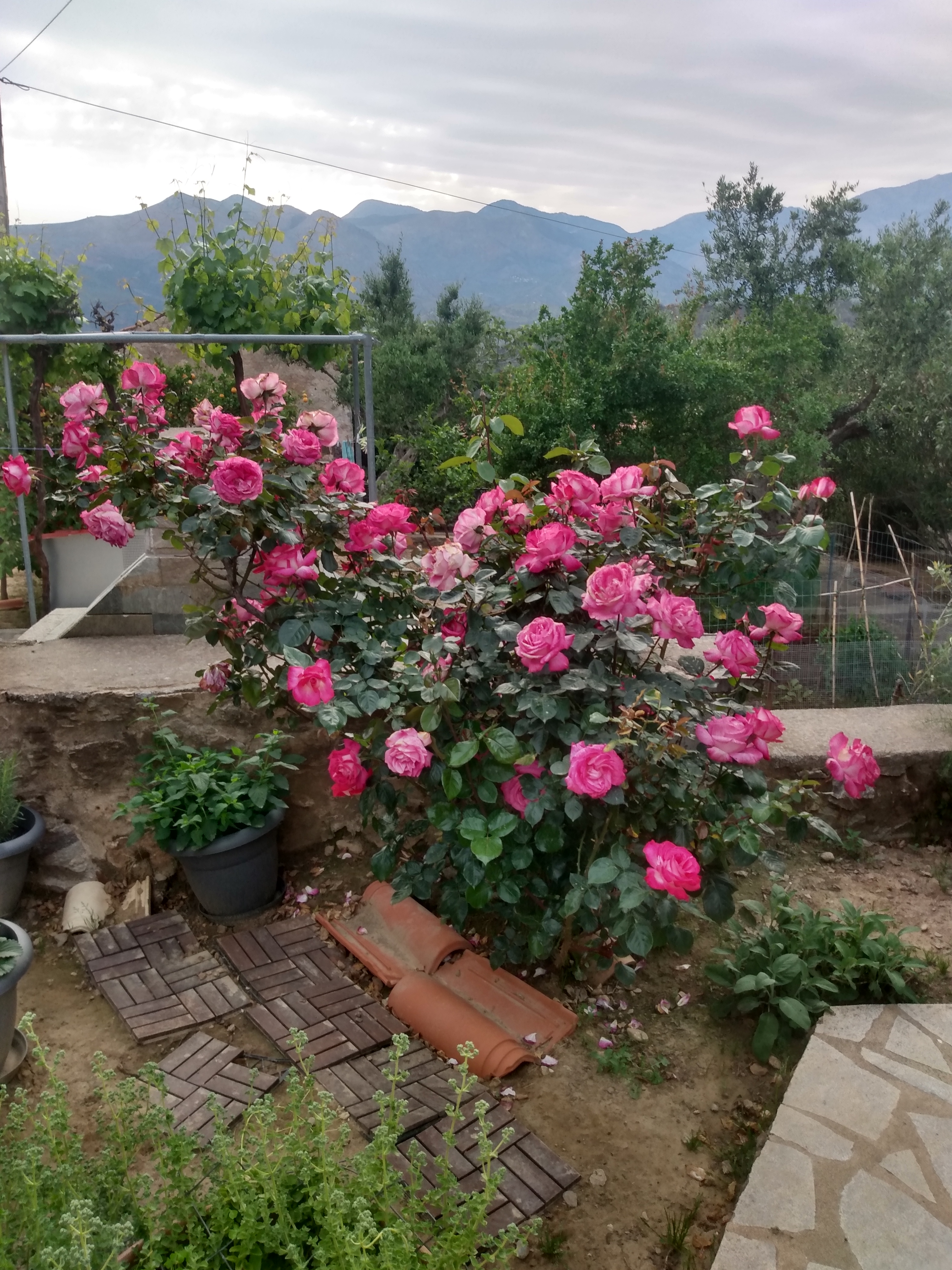 IMG_20220507_185406052_HDR