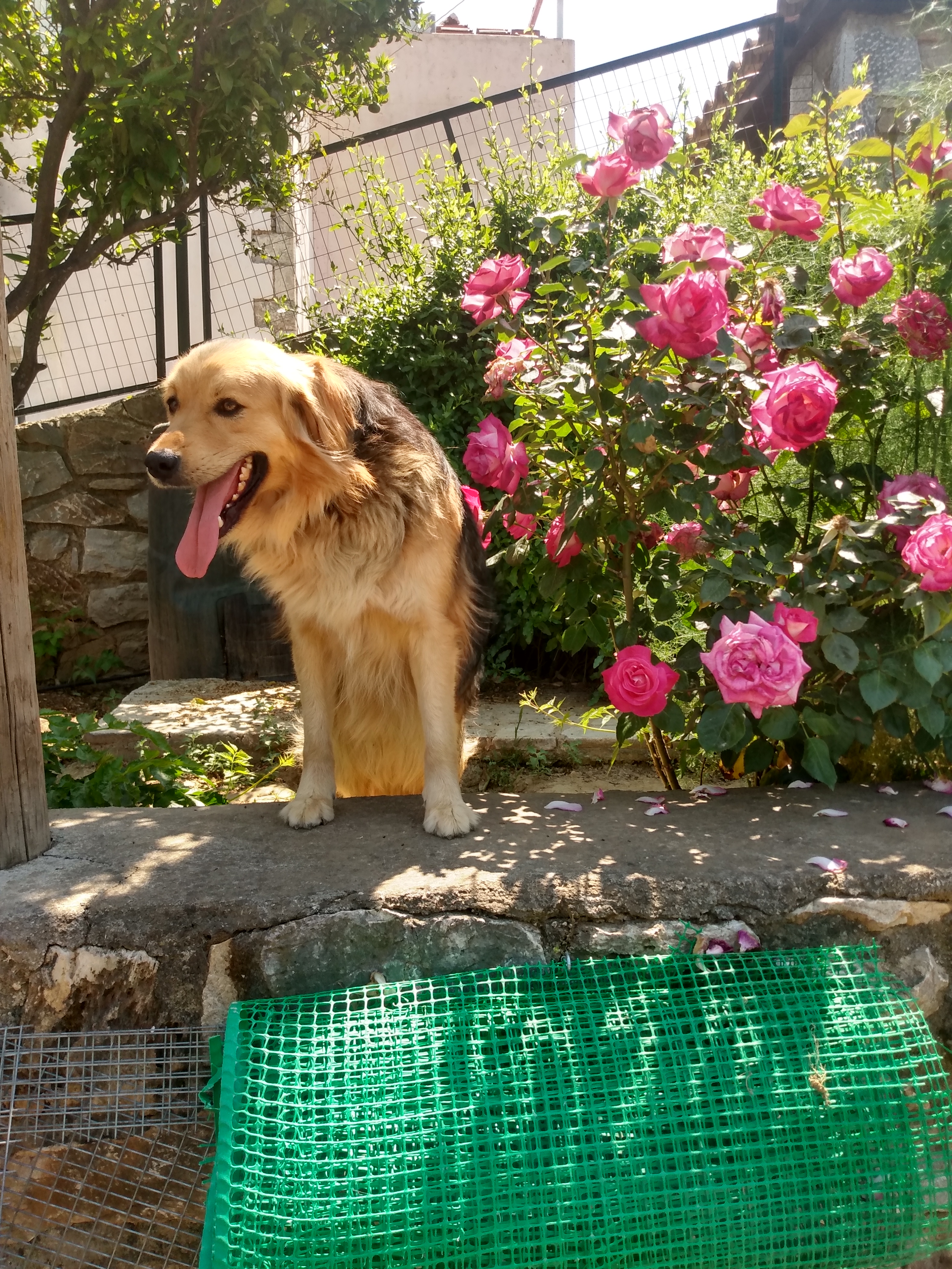 IMG_20220514_114311732_HDR