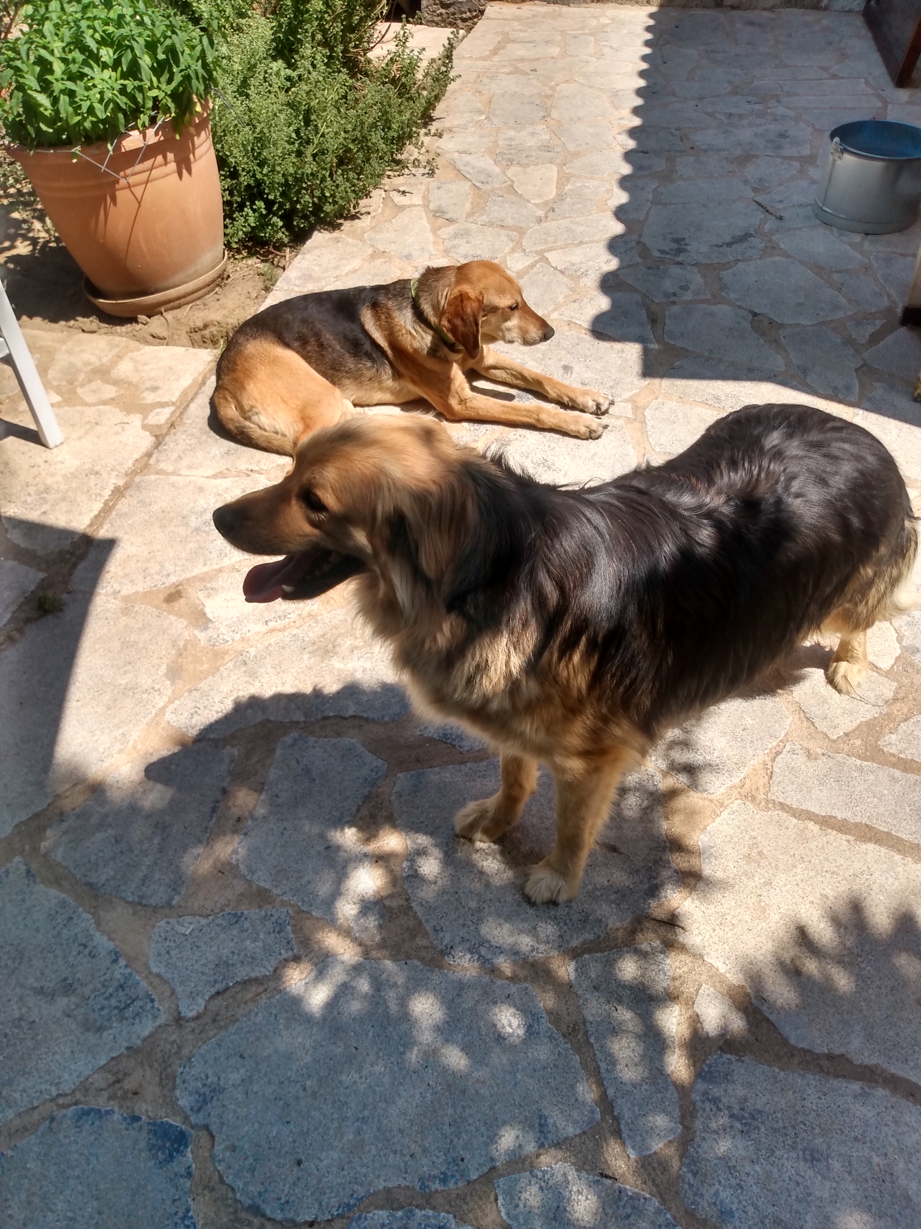 IMG_20220514_120013013_HDR