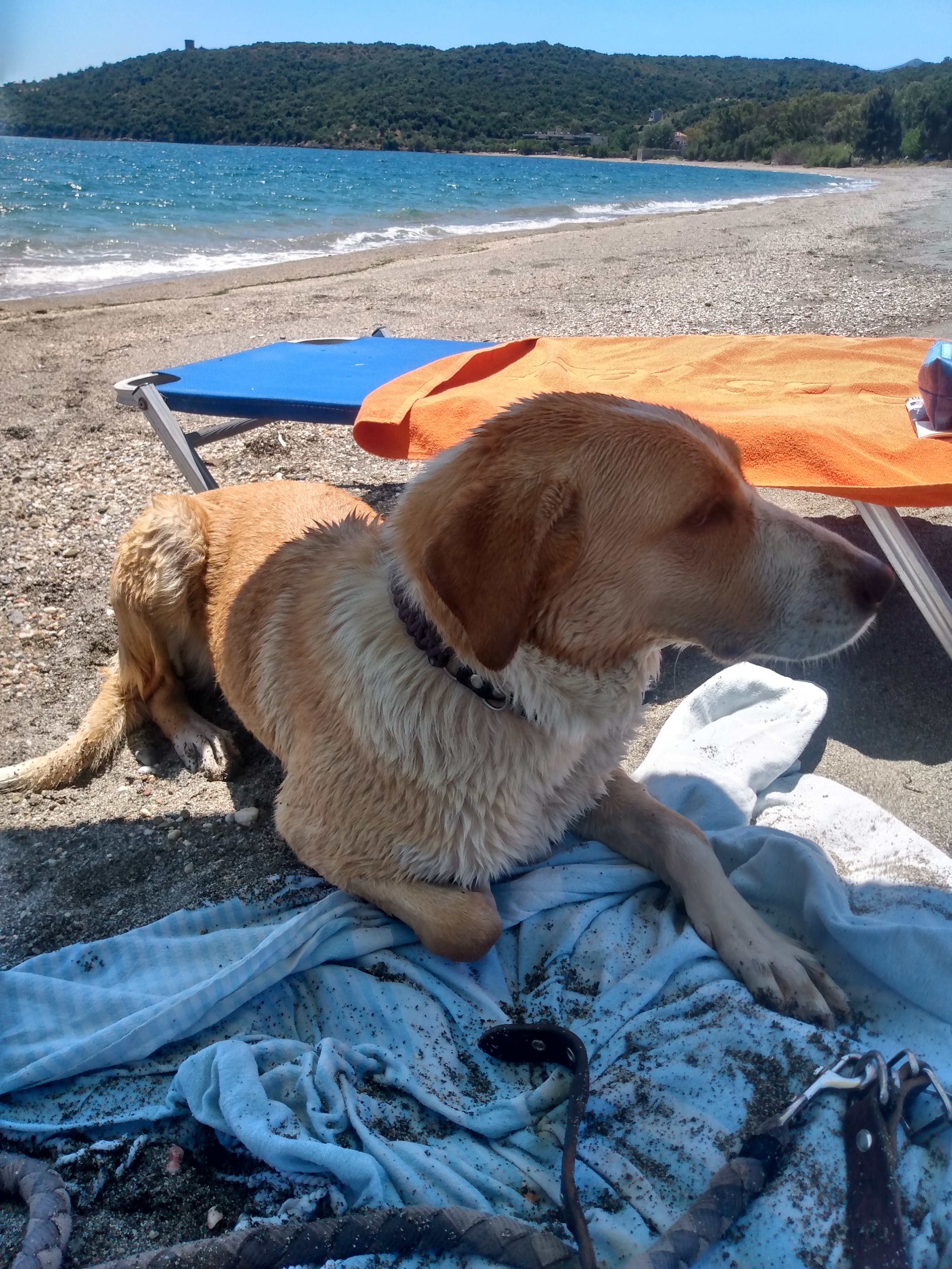 IMG_20220521_130919123_HDR