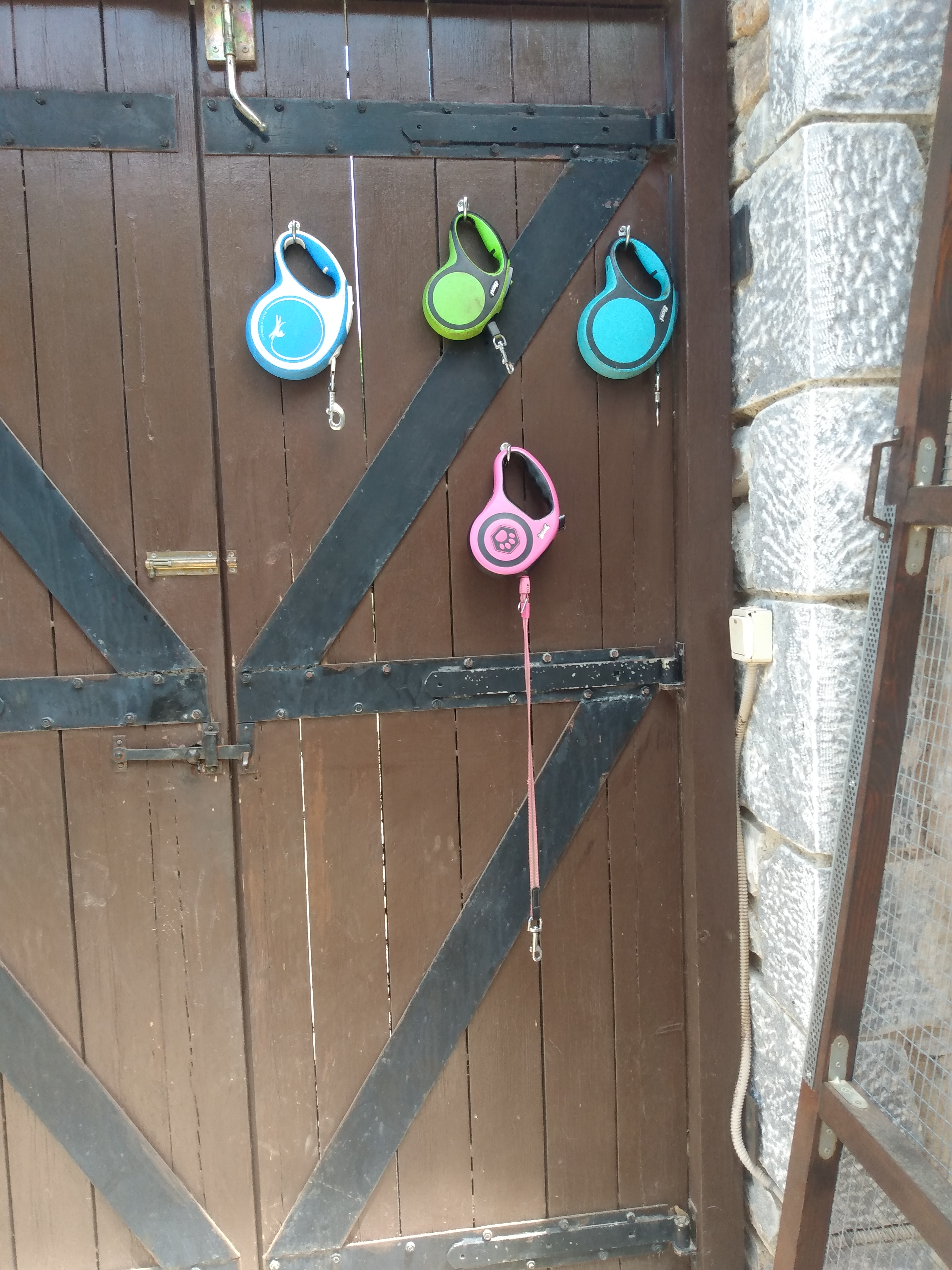 IMG_20220526_125918356