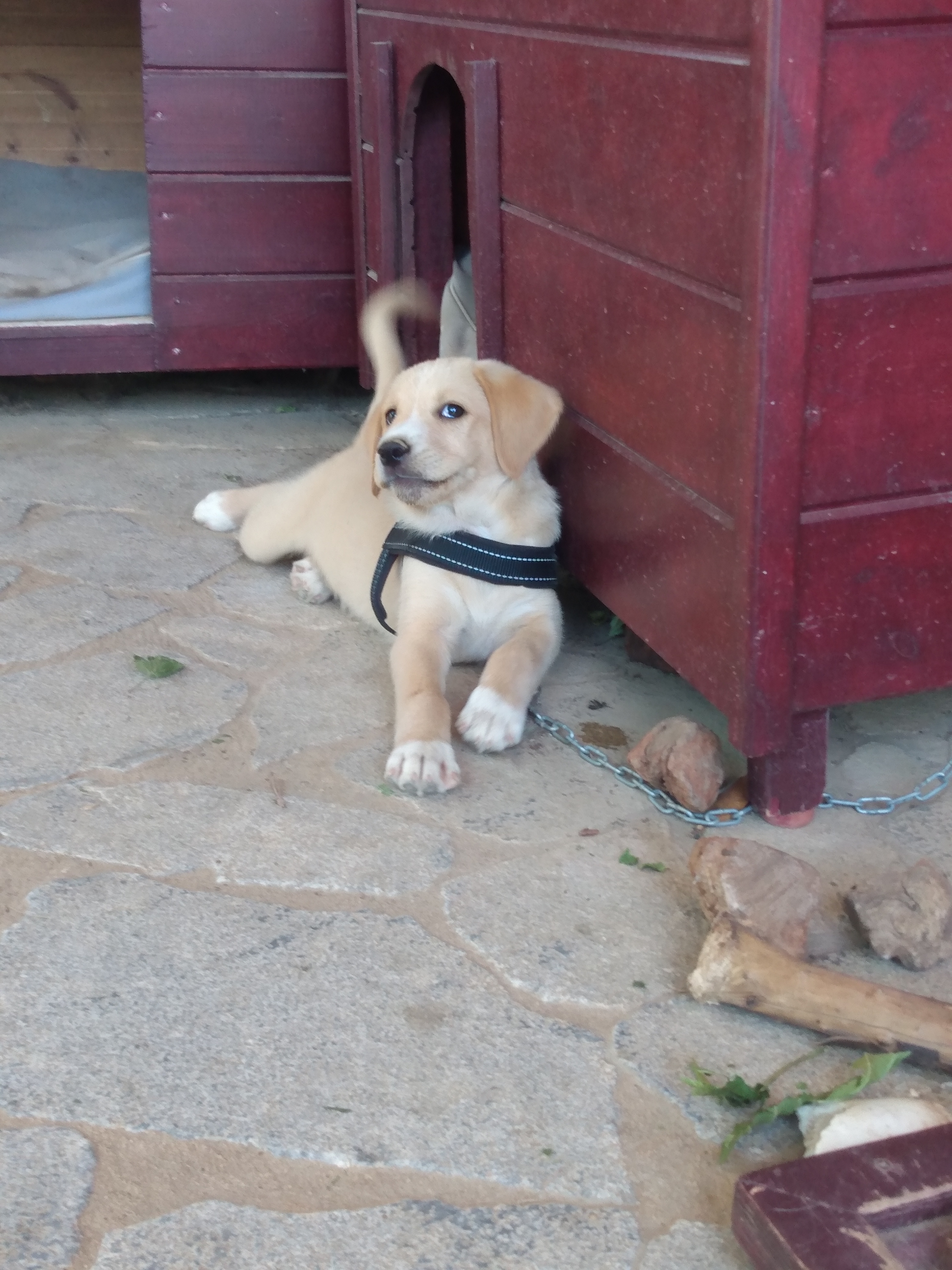 IMG_20220527_132630711